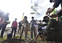 Setahun Banjir Bandang di Luwu Utara, 3.110 Bibit dari 7 Jenis Pohon Ditanam di Tiga Bantaran Sungai