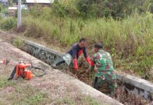 Peduli Lingkungan, Babinsa Desa Balantang : Gotong Royong Dilakukan Untuk Meningkatkan Kerjasama