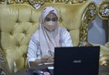 Didaulat Jadi Keynote Speaker di Hut ke 19 Kota Palopo, Bupati Luwu Utara Apresiasi Webinar