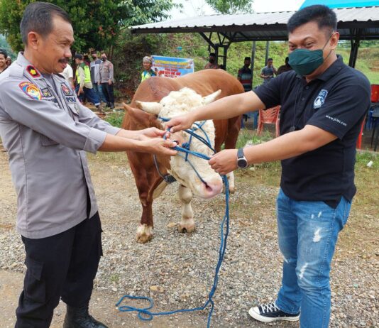 Polres Luwu Timur Berkurban 10 Ekor Sapi