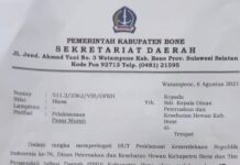 Jelang HUT RI ke 76, Pemkab Bone Adakan Pasar Murah, Ini Lokasinya !
