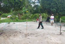 Polsek Wotu Gerebek Arena Judi Sabung Ayam