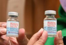 46 Vial Vaksin Moderna Tiba di Luwu Utara, Tenaga Kesehatan Akan Dapat Booster Suntikan Ketiga