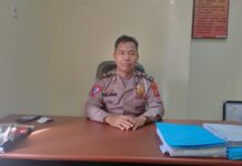 Kabar Gembira ! di Samsat Luwu Utara Ada Penghapusan Denda Pajak Kendaraan