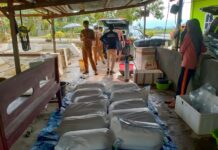 Peduli Perekonomian Masyarakat Dimasa Pandemi, Pemdes Tarengge Timur Bagikan Bibit Ikan