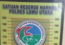 Kuasai Sabu, Seorang Pemuda Diamankan Satres Narkoba Polres Luwu Utara