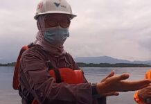 Kadis LH Sebut Tumpahan Sulfur di Pulau Mori Bukan Limbah B3, Ini Penjelasan Direktur Environment & Permit Management PT.Vale