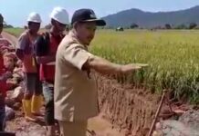 Proyek Irigasi Puluhan Milyar di Towuti Diprotes Petani !