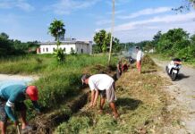 Menuju Kabupaten Kota Sehat, Pemdes Lampenai Gotong Royong Bersihkan Lingkungan
