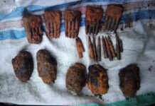 Warga di Luwu Utara Temukan Granat dan Peluru