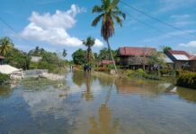 Puluhan Hektare Kebun Warga di Dusun Talagonggo Terendam Banjir