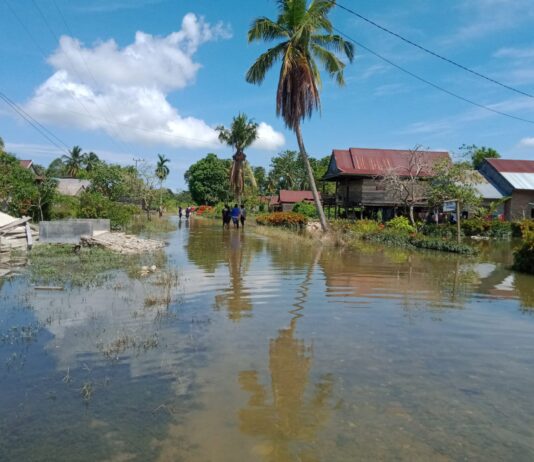 Puluhan Hektare Kebun Warga di Dusun Talagonggo Terendam Banjir