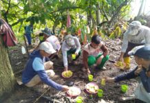 Hadir Ditengah Masyarakat Gotong Royong, Cakades Seberang Direspon Positif