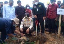 Bupati Luwu Timur Apresiasi Tanam Perdana PSR Koperasi Sawerigading Tani Lutim