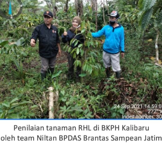 Perhutani KPH Banyuwangi Barat Ajak Masyarakat Berkontribusi Aktif Dalam Rehabilitasi Hutan dan Lahan