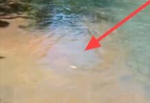 Limbah Pabrik Sawit PT BMS Mengalir ke Sungai Mantadulu