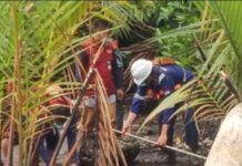 Hasil Uji Laboratorium, Tidak Ada Pencemaran Tumpahan Sulfur di Pulau Mori