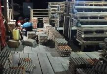 Harga Telur Anjlok, Dinas Perdagangan Akan Cek Langsung