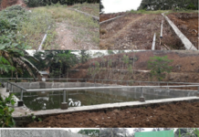 Mantan Kades Seberang Tinggalkan Jejak Buruk, Proyek Setengah Milyar Mangkrak