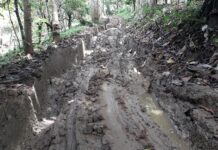 Kasihan Petani di Soppeng Merugi Saat Musim Panen Gegara Jalan Tani Rusak