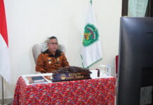 Webinar Sahabat Guru, Bupati Luwu Timur Wakili Dewan Pengurus APKASI