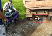 Berikut Identitas dan Kronologis Siswa SMA Tabrakan dengan Truck di Malili