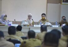 Menyelaraskan Hubungan Kerja Pemda, Bappelibangda Luwu Utara Gelar Coaching Clinic Renstra PD