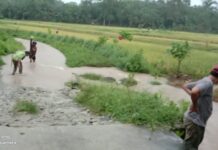 Diguyur Hujan, Sungai Bee Meluap Hingga ke Jalan