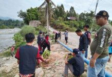 Peduli Lingkungan, KKN-T UM Palopo Lakukan Penanaman Pohon Didua Desa di Luwu Utara