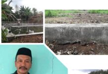 Diberitakan Proyek Mangkrak, Mantan Kades Seberang Sebut Persetujuan Masyarakat
