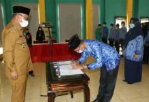 237 Pegawai di Luwu Timur Terima SK Pengangkatan PNS