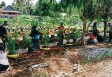 Pemdes Sindu Agung Giat Jumat Bersih