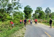 Waspada Cuaca Ekstrim, Pemdes Lera Tebang Pohon di Jalan Trans Sulawesi
