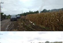 Kasihan Petani Rugi Seumur Hidup Akibat Proyek Jalan Nasional Koppe Taccipi