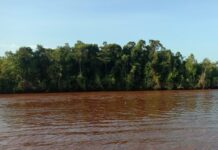 Sungai Malili Keruh, Ini Tanggapan KTT PT. CLM