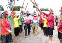 Praporprov Cabor Voli Pasir Resmi Bergulir