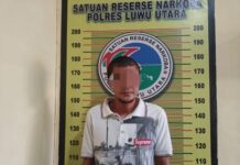 Seorang Sopir Asal Sukamaju Diamankan Polisi