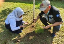 SMP Negeri 1 Mangkutana Gelar Penanaman Pohon