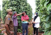 Tim STP UNHAS Lakukan Kunjungan ke Desa Seberang Danau Towuti