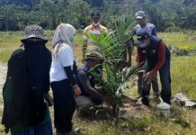 Di Medan Wapres RI Buka Tanam Serentak PSR, Luwu Utara Juga Ikut