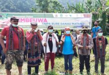 DLH Luwu Timur Apresiasi PKKTB Tanam Pohon Tambeuwa di Danau Matano