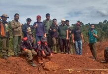Kepala UPT KPH Larona dan Kadis LH Luwu Timur Tinjau Lokasi Illegal Logging di Malili