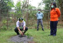 Tinjau Pembangunan Sawerigading Park, Bupati Sempatkan Tanam Pohon