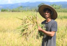 PT Vale Konsisten Dorong Pertanian SRI Organik di Area Pemberdayaan