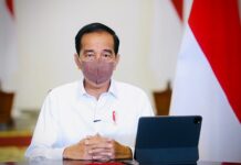 Pemerintah Akhirnya Cabut Ribuan Izin Usaha Tambang, Kehutanan, dan HGU Perkebunan