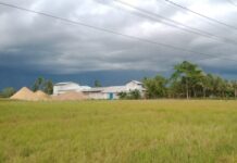Warga Tomoni Timur Keluhkan Debu Pabrik CV. Bunga Padi