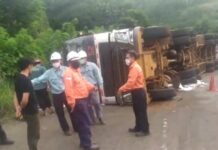 Truck Trailer Muat Batu Bara Milik PT. Pancaran Group Terbalik