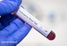 Pulang dari Jakarta, Bupati Luwu Timur Dikabarkan Reaktif Covid19 ?