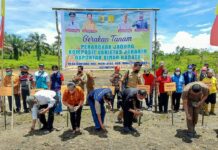 Stafsus Menteri Pertanian Hadiri Gerakan Tanam Penangkar Jagung Komposit di Desa Gontara
