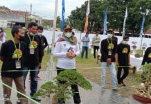Ada Pameran Bonsai di Lapangan Tomoni